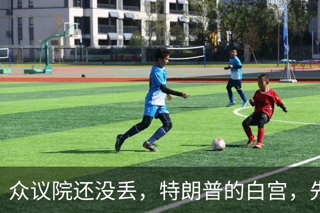 众议院还没丢，特朗普的白宫，先乱成了一锅粥